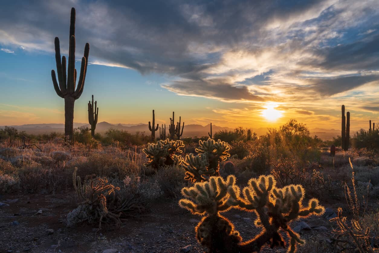 How Much Do Cremation Services Cost In Arizona 2024 Guide 