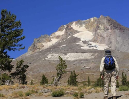 Green Cremation in Oregon: Environmentally Conscious Alternatives for Families